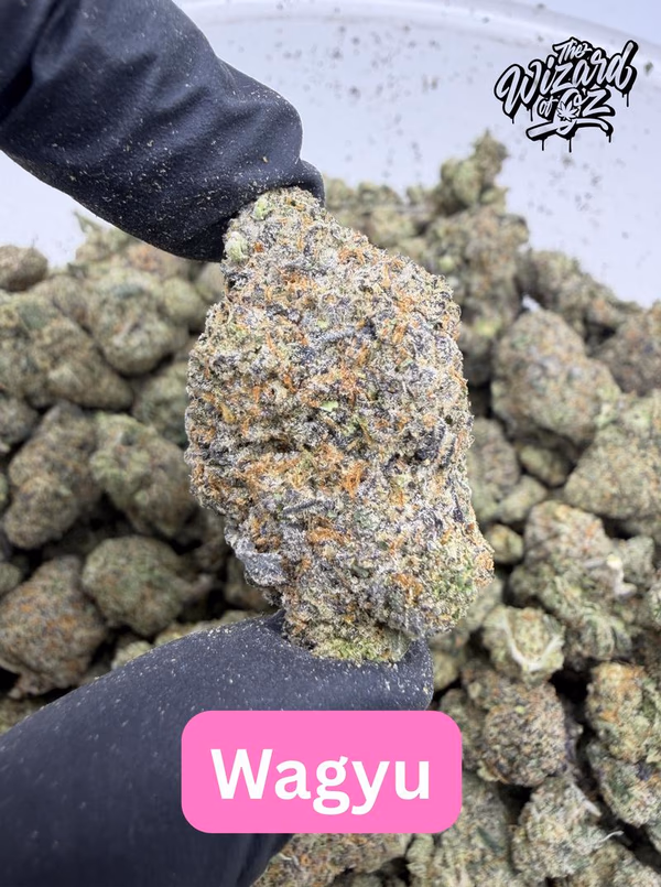 The TenCo Strain: Wagyu