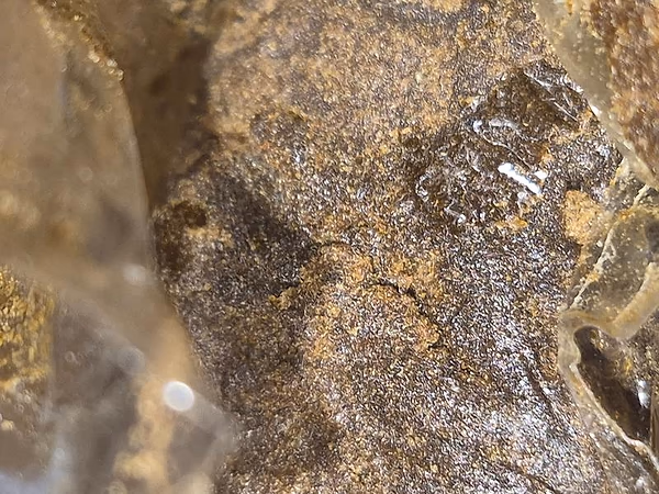 Dy's Dankest Hash Bars image