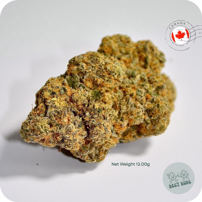 Imported Flower 2