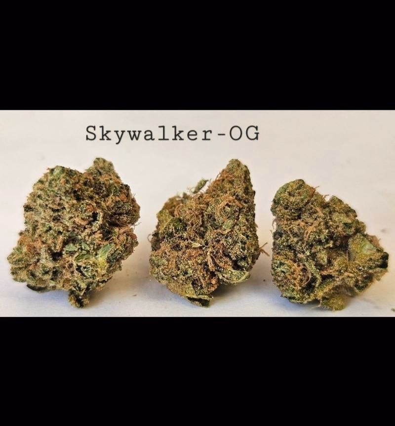 Make an oz for £160! ( Free T24 ) 2