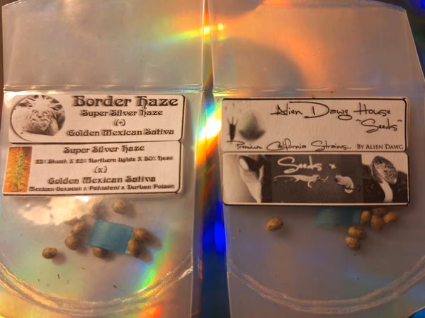 Alien Dawg House Seeds, Patrimonio