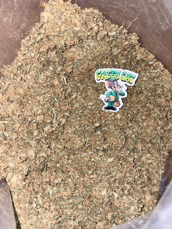 GRAPE APE TRIM — Shake