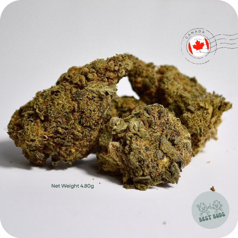 Imported Flower 4