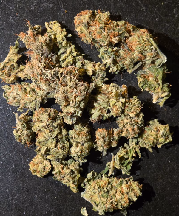 Oz alternate