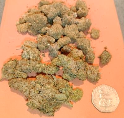 Review image 1