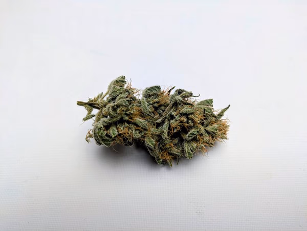 Organic Apple Fritter