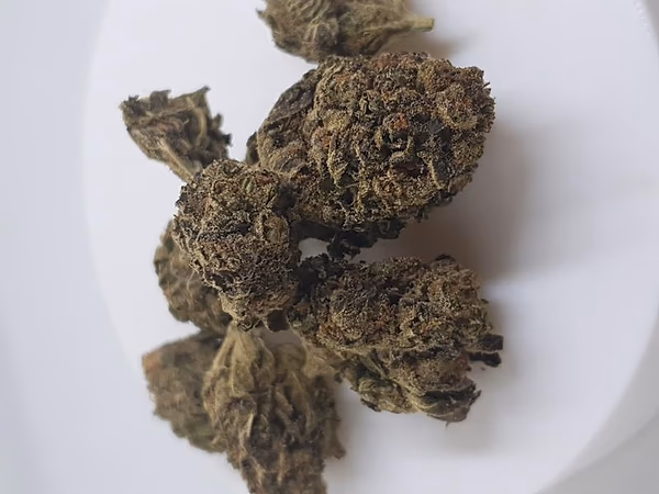 Venom OG