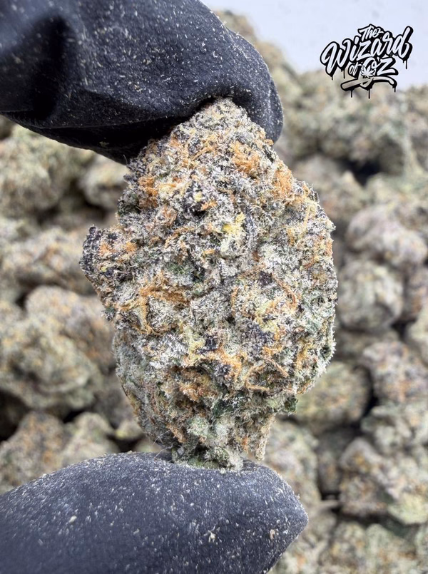 El Chapo OG alternate