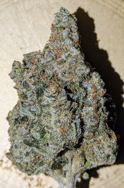 Review image 5