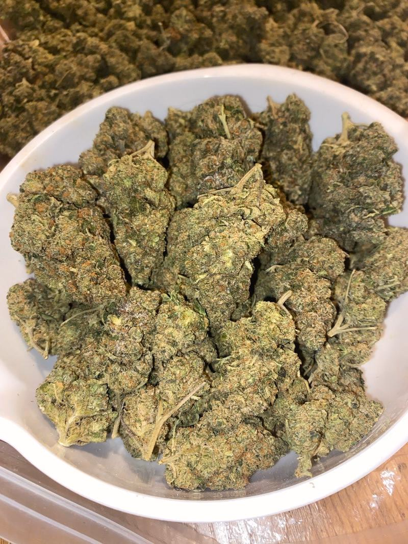 Britscotti 🇬🇧⛽️⛽️⛽️💨 3