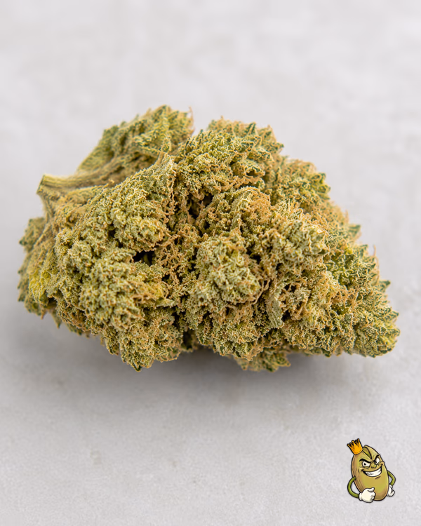 ZMRZLINA - TOPSHELF £140 ZA UNCI