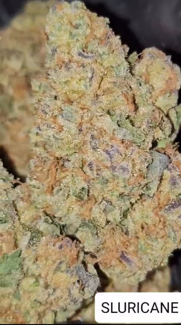 SLURRICANE (DOSI DOS X PURPLE PUNCH) image