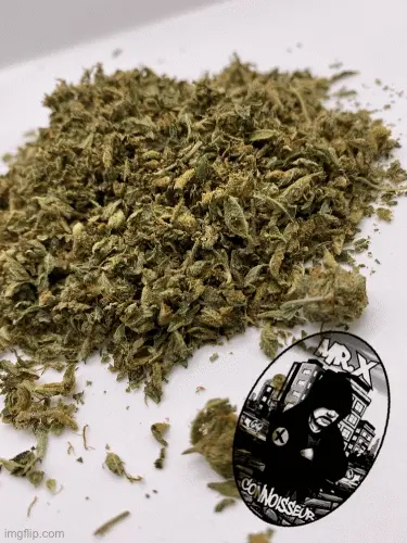 DUSTSHAKE 2021***CONSEGNA RM DI PRIMA CLASSE GRATUITA***