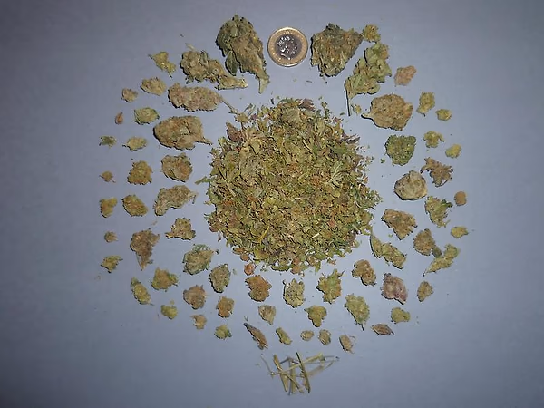 Mixed Dust/Shake/Small Buds — Shake