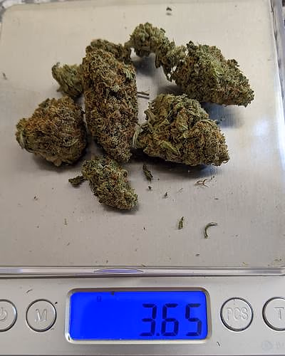 Review image 1
