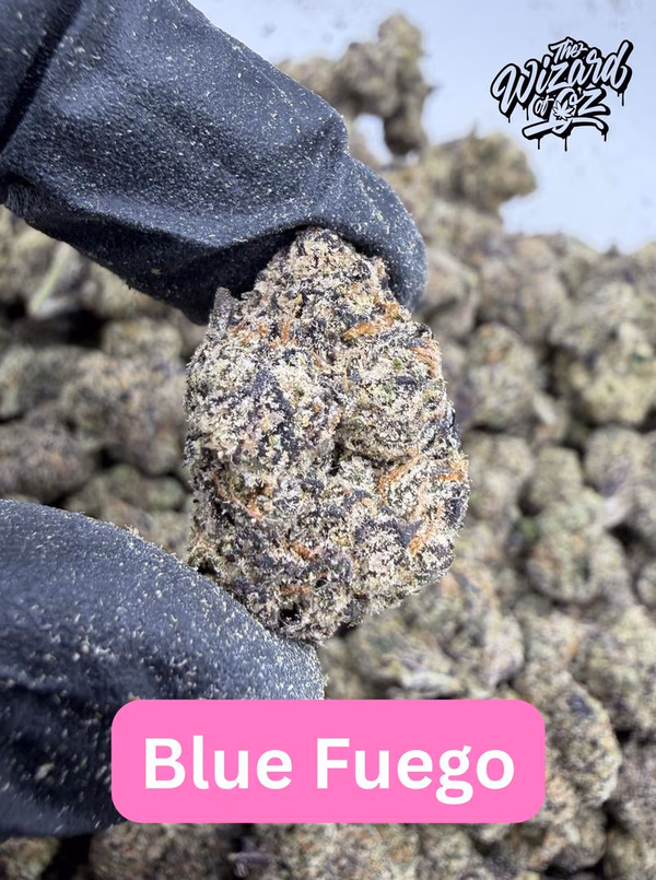 Blue Fuego
