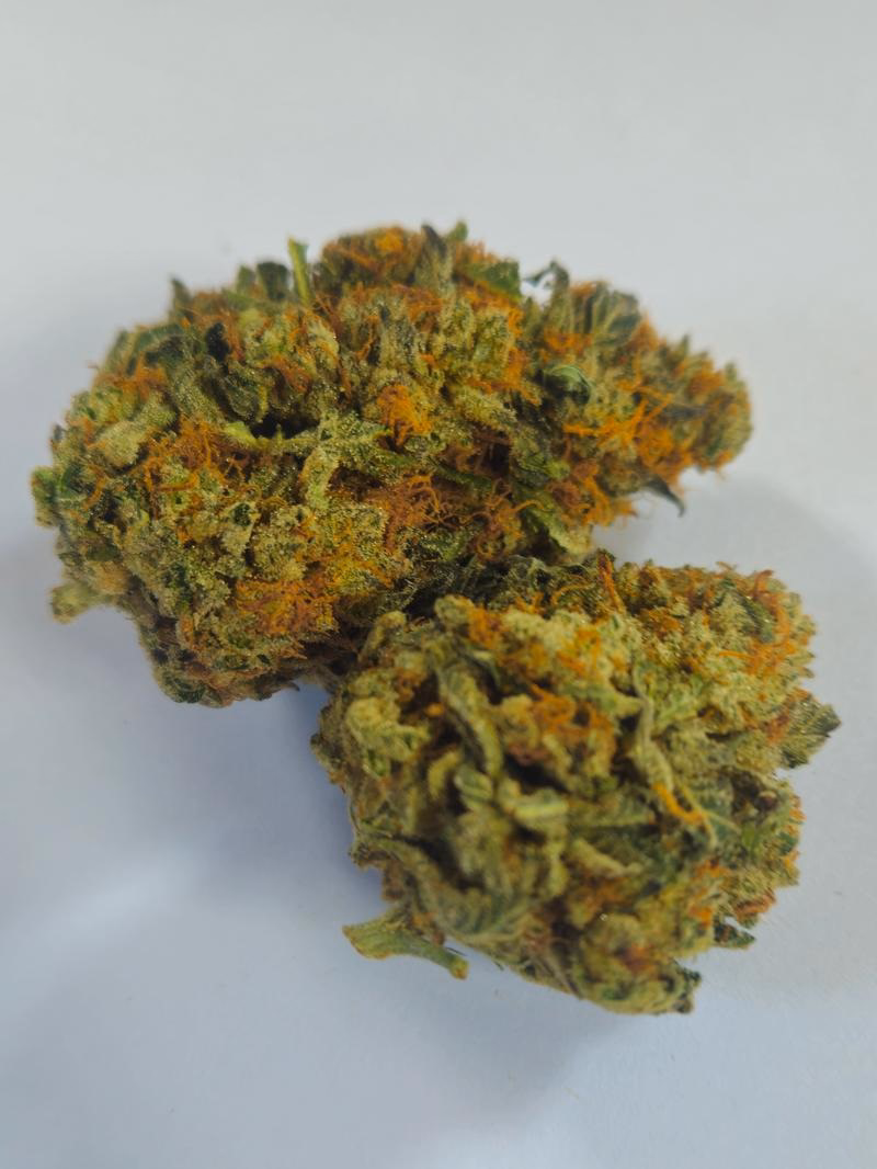 Stardawg 2