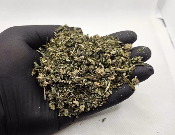 TOP DUST **420 DEBUT DEAL**