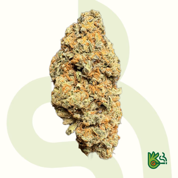 10/10 Stardawg