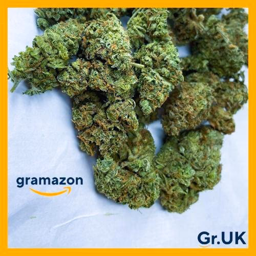 *LEMON TREE* 20% EXTRA - FREE SHIPPING