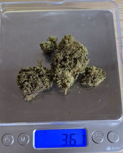 Review image 1