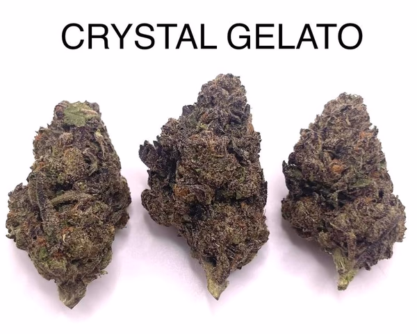 CRYSTAL GELATO