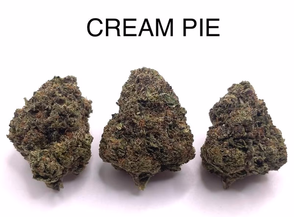 CREAM PIE