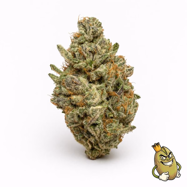 ΜΈΝΤΑ ZKITTLEZ
