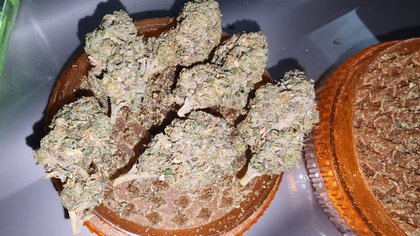 UK GROWN FLOWER