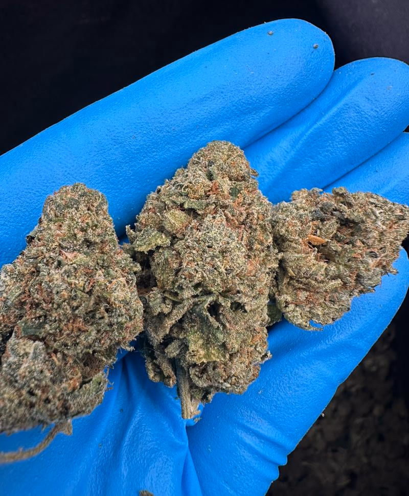 Blue Sunset Sherbet
