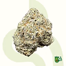 White Truffle