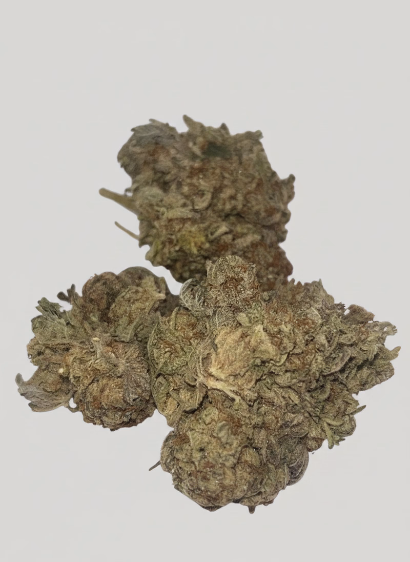 Stardawg 2