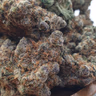 [Exclusive] Top Shelf UK