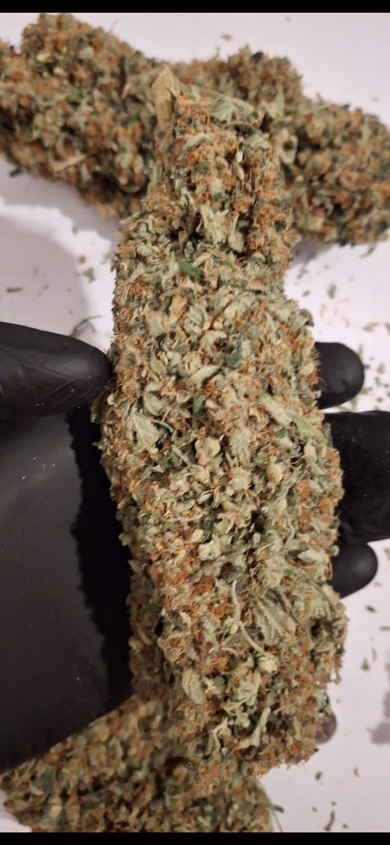Delicious Strong Super Lemon Haze 3