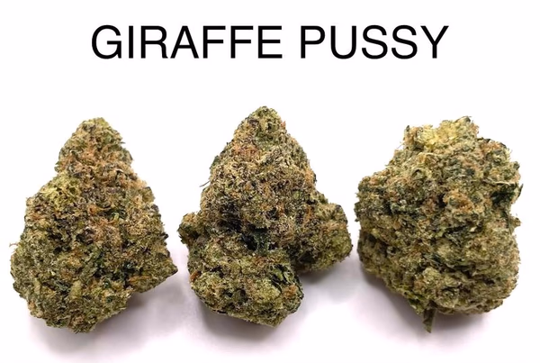 GIRAFFE PUSSY (TOP SHELF)