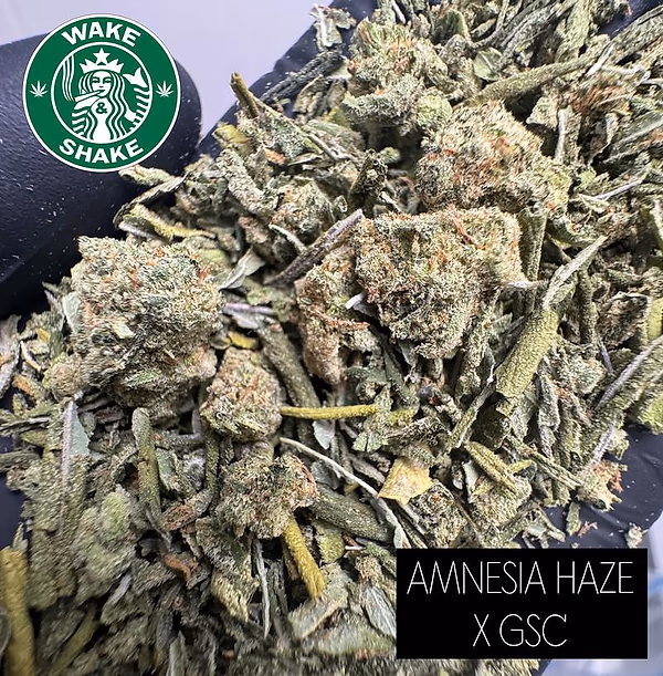 Amnesia Haze X GSC Shake