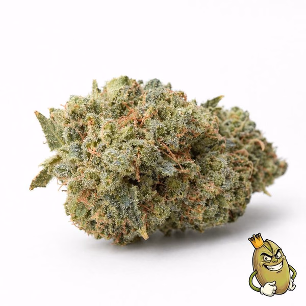 BLUE NERDZ - TOPO DE PREÇO £140 A ONÇA