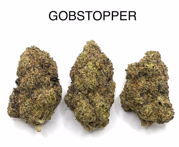 GOBSTOPPER