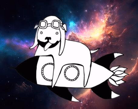 Rocketdogronnie