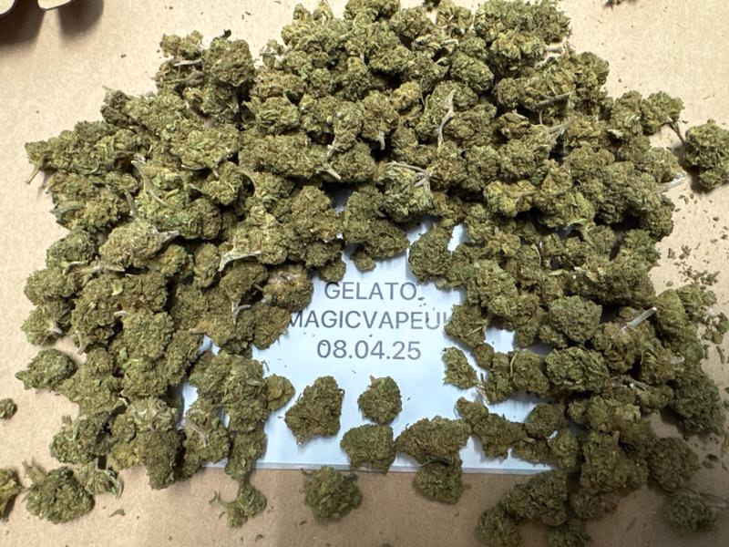 UK BUDS