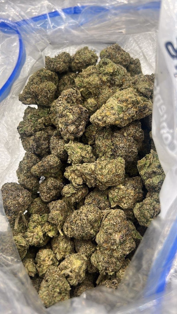 💎 CALI LOOSE EXOTICS | Bag of Gems 💎