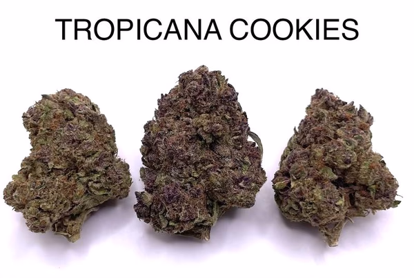 TROPICANA COOKIES