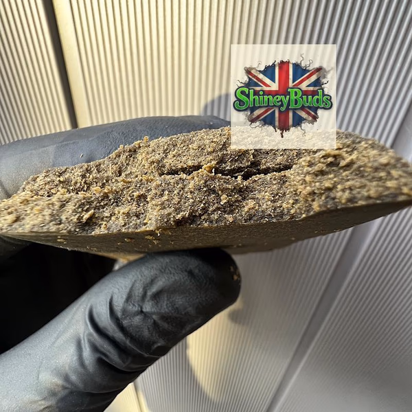 🇺🇸 Dice Genetics Frozen Sift Cookies