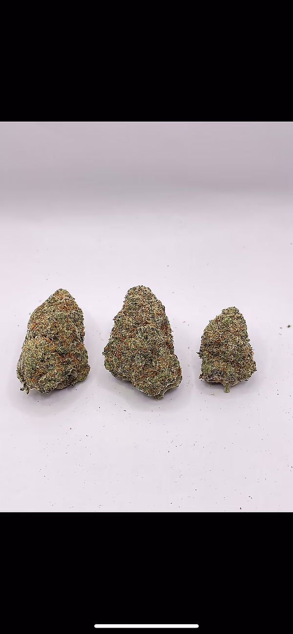 DEAL OF THE WEEK