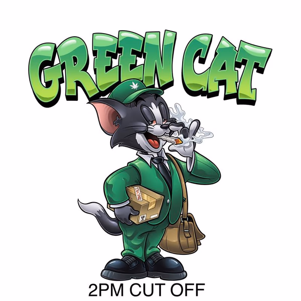 Green Cat avatar