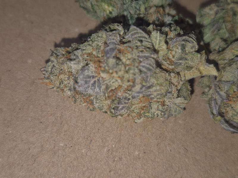 Cap Junky uk top flower 2