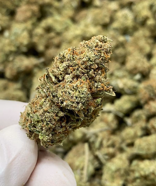 Strawberry Shortcake 🍰 🇬🇧 - Cleanest Terps - Hydro