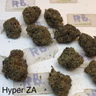 Cali Mids SPECIALS
