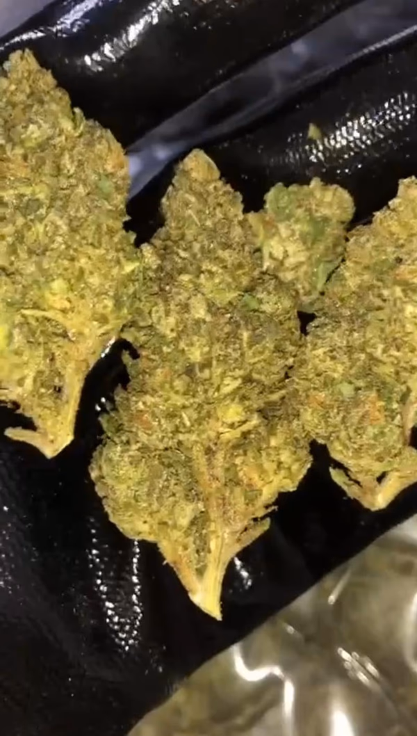 Lemon Cherry Gelato 🍋🍒