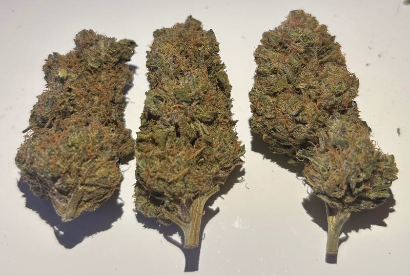 original Cheese - Big Buddha Family Farms 3